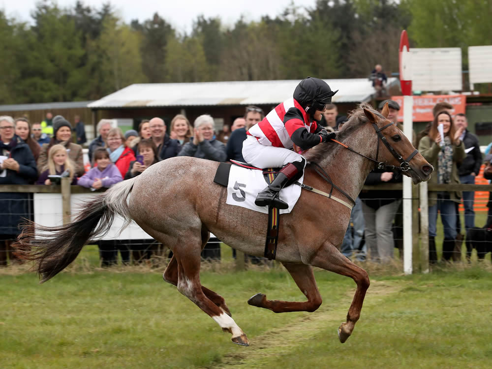 Rosie (Push the Button) wins race final at Garthorpe