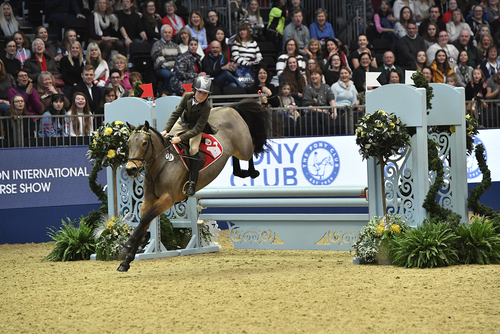 Webbswood Runaway Dolly paired 3rd at Pony Club competition