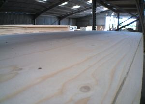 12mm x 1220mm x 2440mm Chilean WBP Ply from WEBBS Builders Merchants